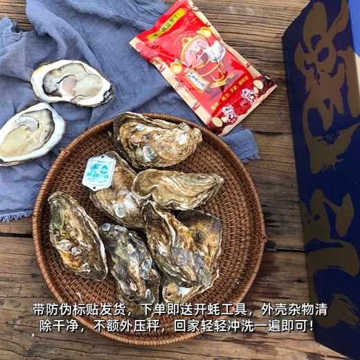 正宗乳山生蠔 一口吃下國(guó)家地標(biāo)認(rèn)證的鮮甜密碼